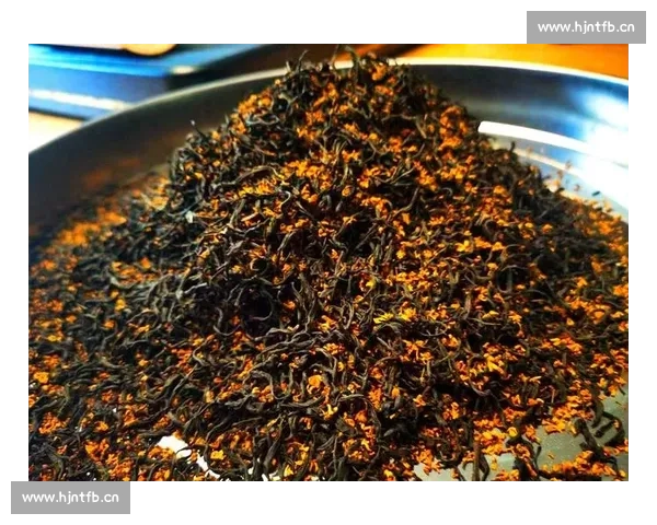 轻松解读体育比赛数据的技巧与实用方法指南 - 副本 (2) - 副本 轻松解读体育比赛数据的技巧与实用方法指南 - 副本 (2) - 副本